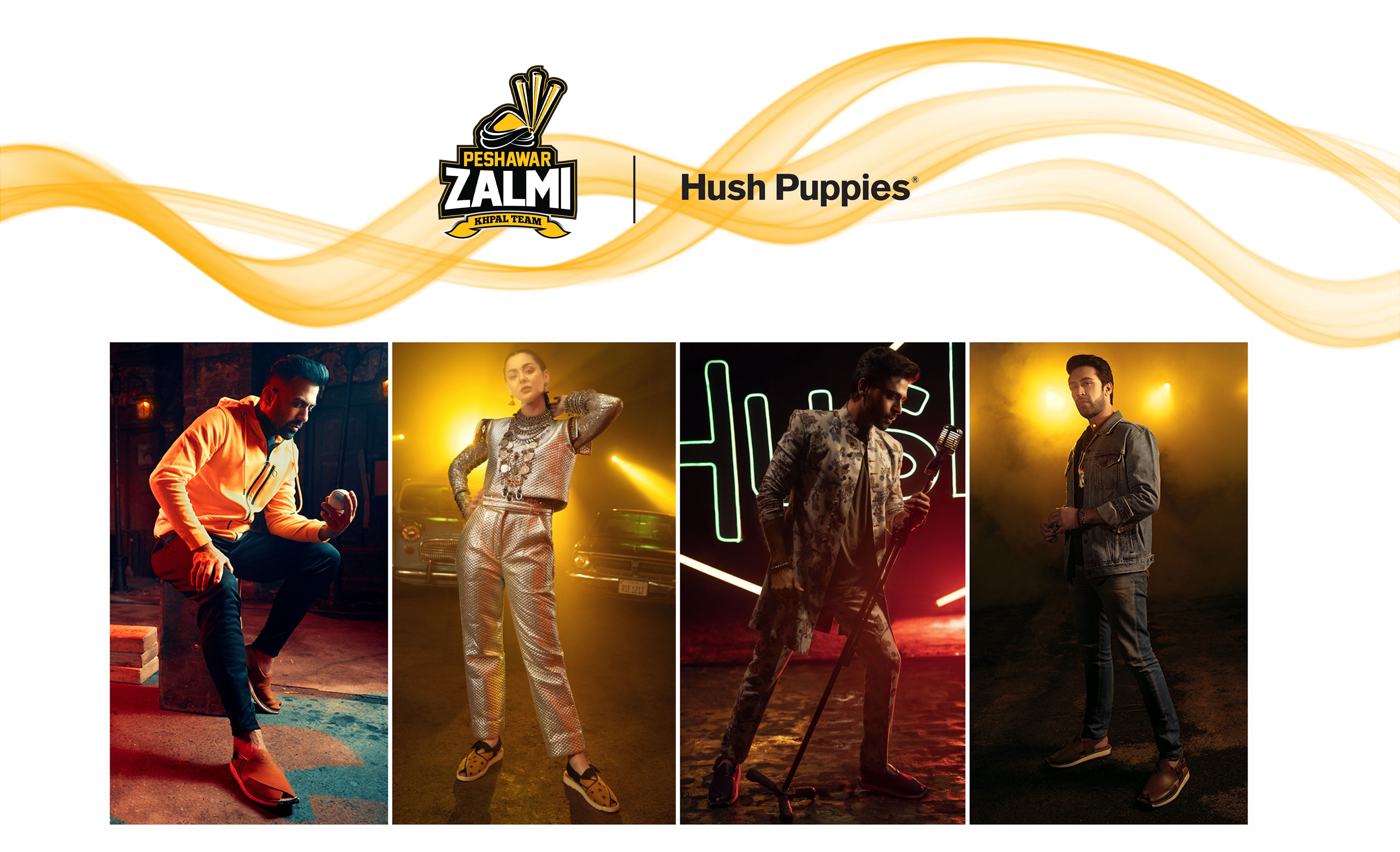 <h3 style = "display: flex; align-item: center; justify-content: center;">Introducing PeshawariZ</h3>