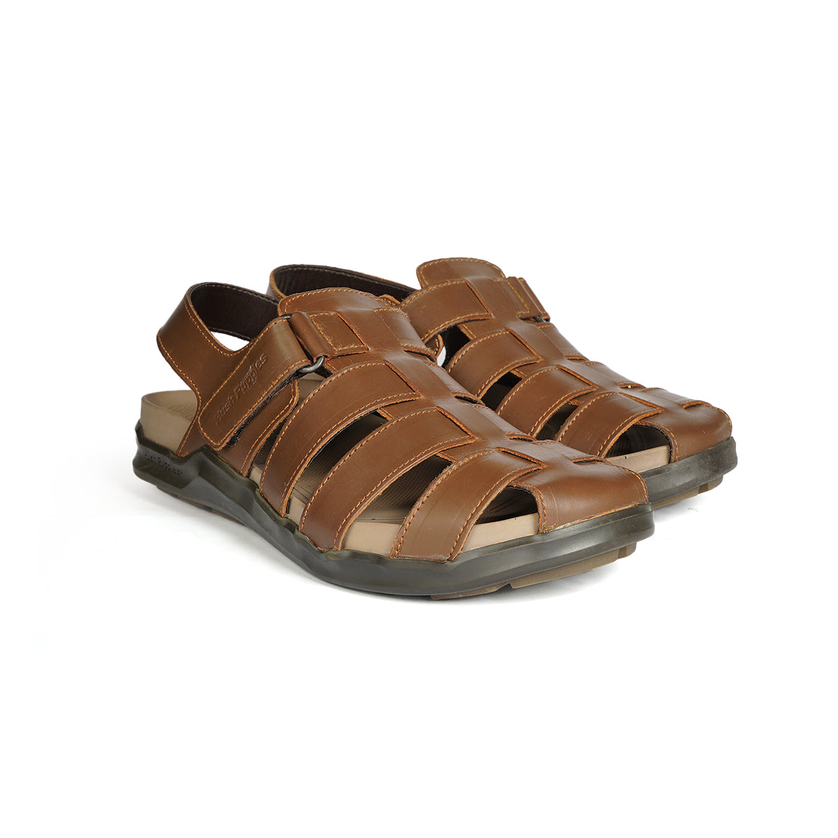 Fisher Birken