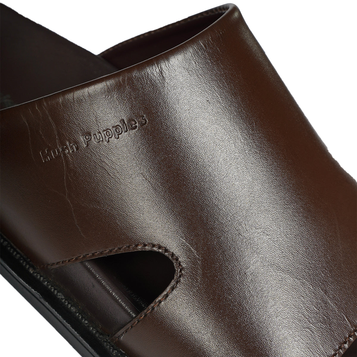 Sifnox Lenox