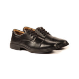 HP Oxford